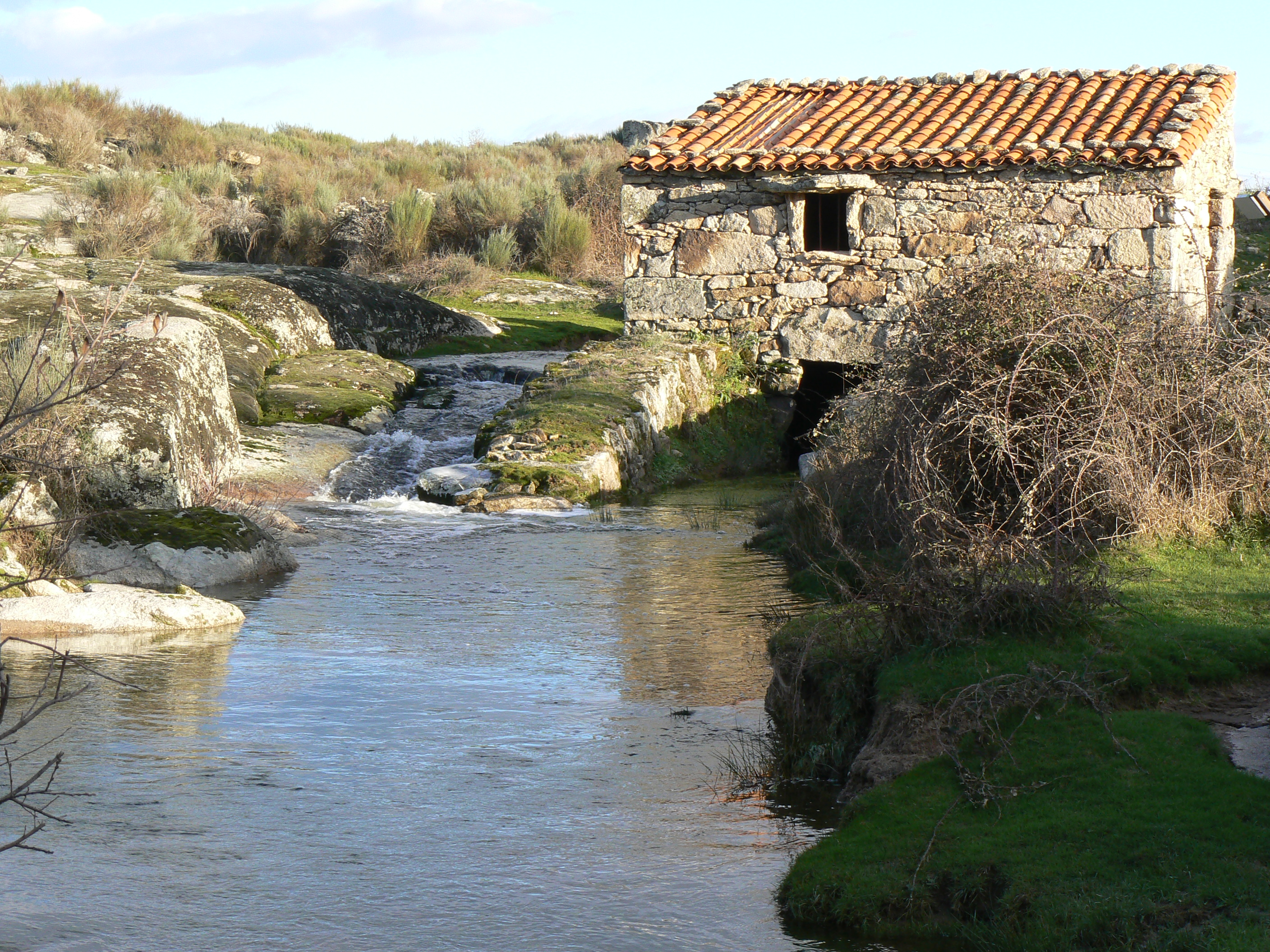 molino pasadero