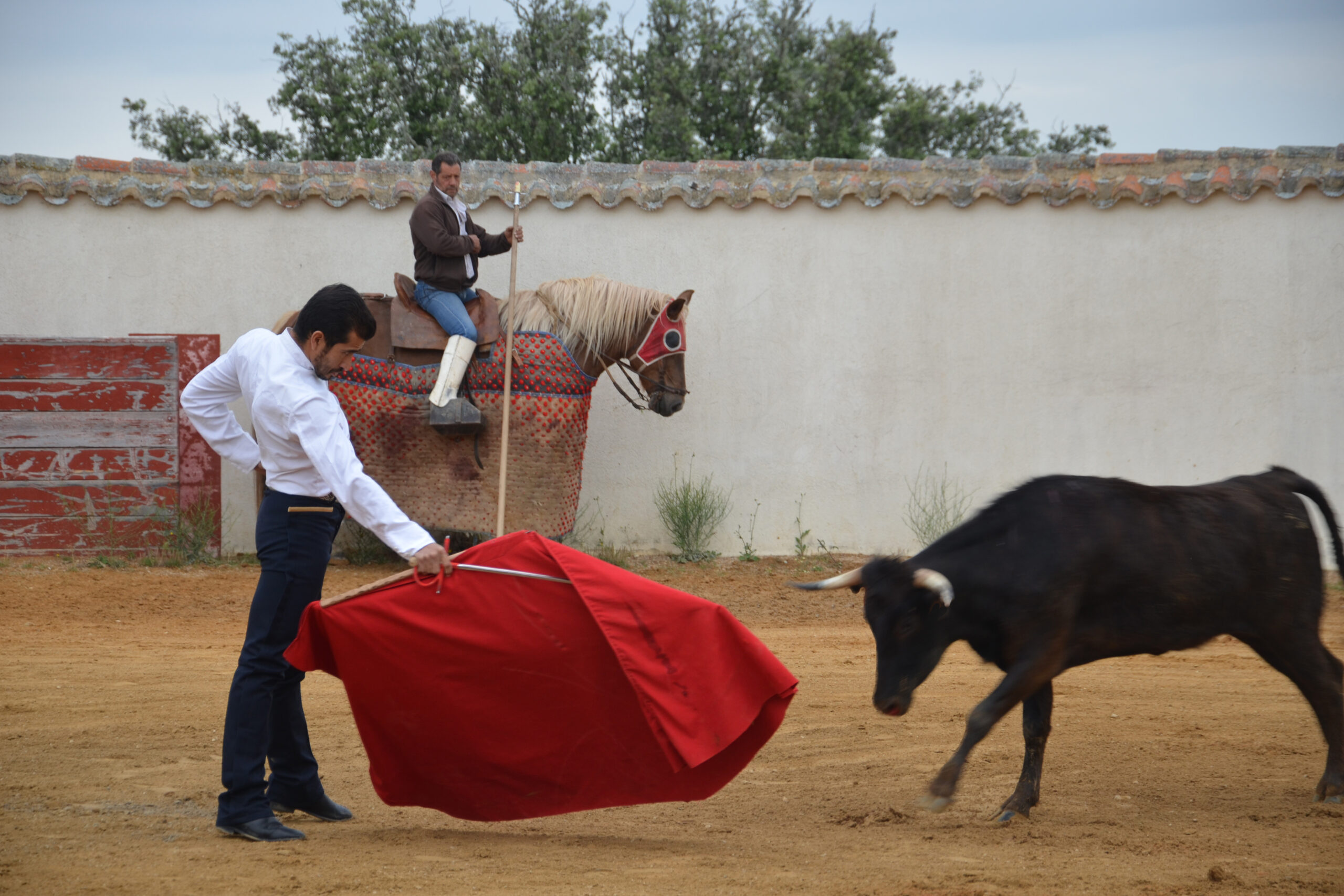 CAMPO DE LEDESMA GANADERIA PALLA TIENTA JOSELITO ADAME 09 copia